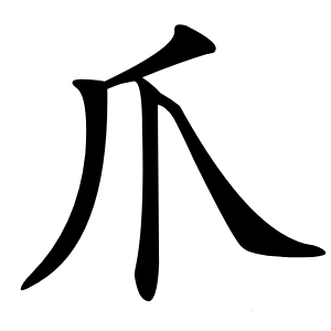 爪怎么读