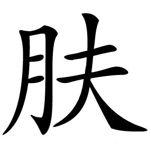 肤怎么读