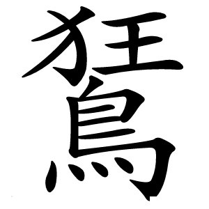 鵟怎么读