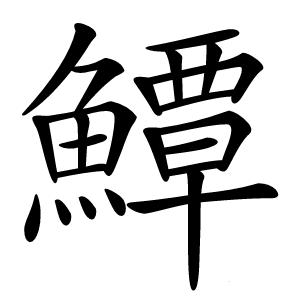 鱏怎么读