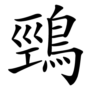 鵛怎么读
