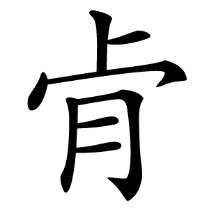 肻怎么读