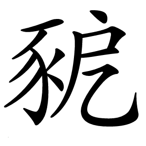 豟怎么读