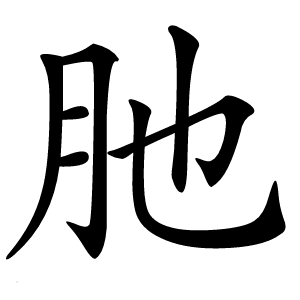 肔怎么读