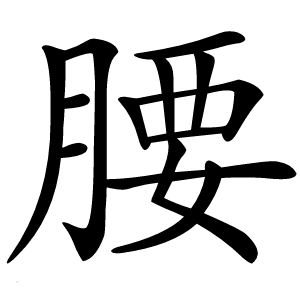 腰怎么读