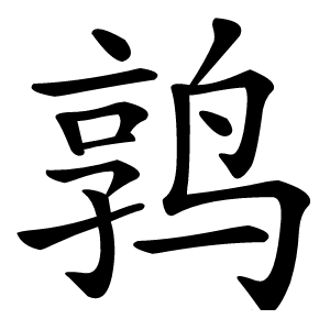 鹑怎么读