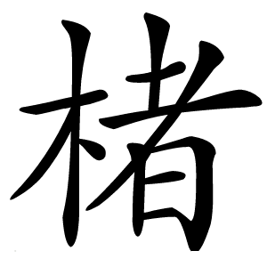 楮怎么读