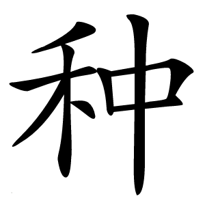 种怎么读