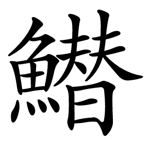 䲋怎么读