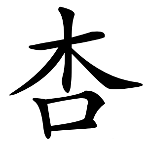 杏怎么读