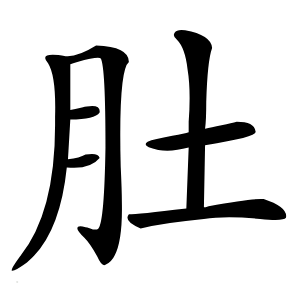 肚怎么读