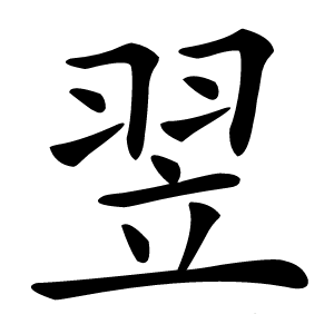 翌怎么读