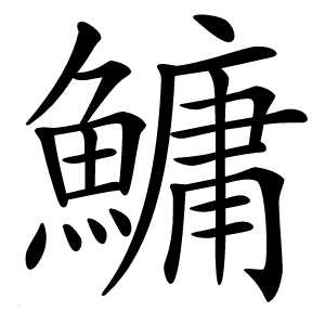 鱅怎么读