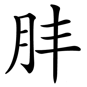 肨怎么读