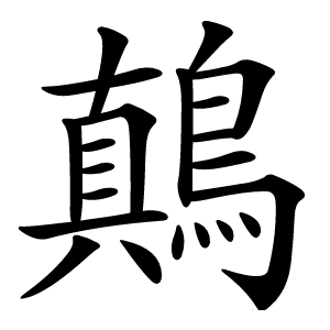 鷏怎么读