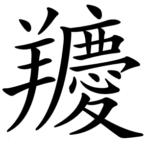 羻怎么读