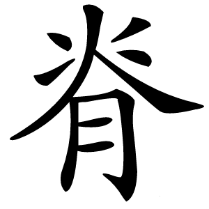 脊怎么读