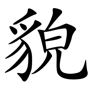 貌怎么读