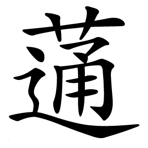 蓪怎么读