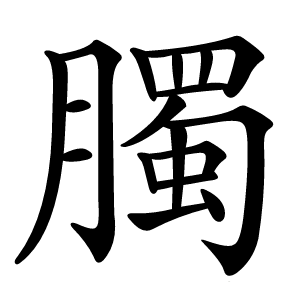 臅怎么读
