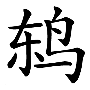 鸫怎么读