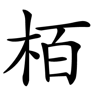 栢怎么读