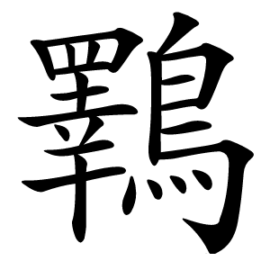 鸅怎么读