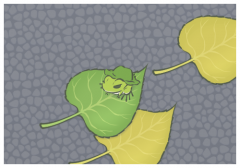 ø˷ݺ,㽭ƶ¹ڷּƷ