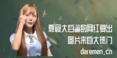 ʳ츴,ʳǸ