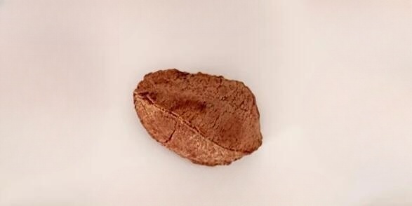 鲍鱼果的功效和作用