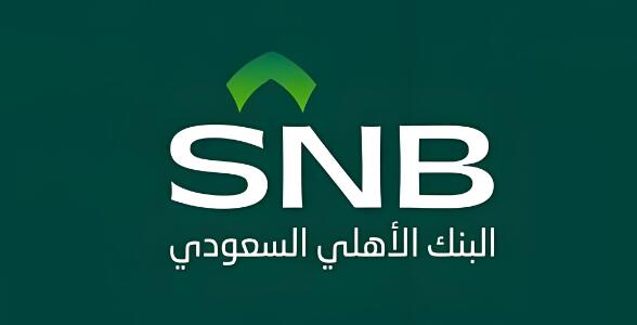 ����˹��˽����ɳ�����д��ת��