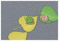 �������뺣����ϲ���,����Ů��С�۷����